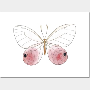 Blushing Phantom Watercolor Butterfly Drawing Posters and Art